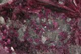 Vibrant, Magenta Erythrite Crystals - Morocco #93605-1